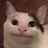 우리집고양이