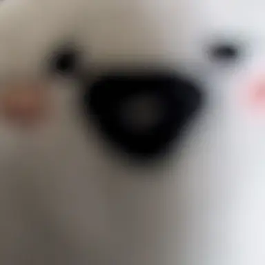 Profile image of ブリ子