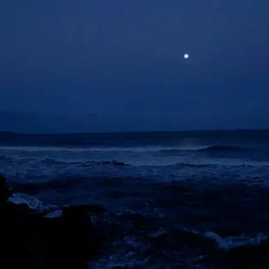 Profile image of 놀리