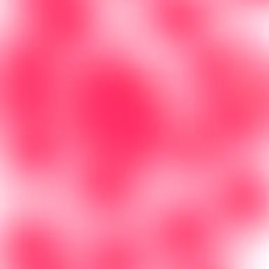 Profile image of 감제이