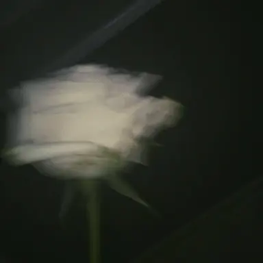 Profile image of 남기정