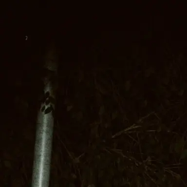 Profile image of 진