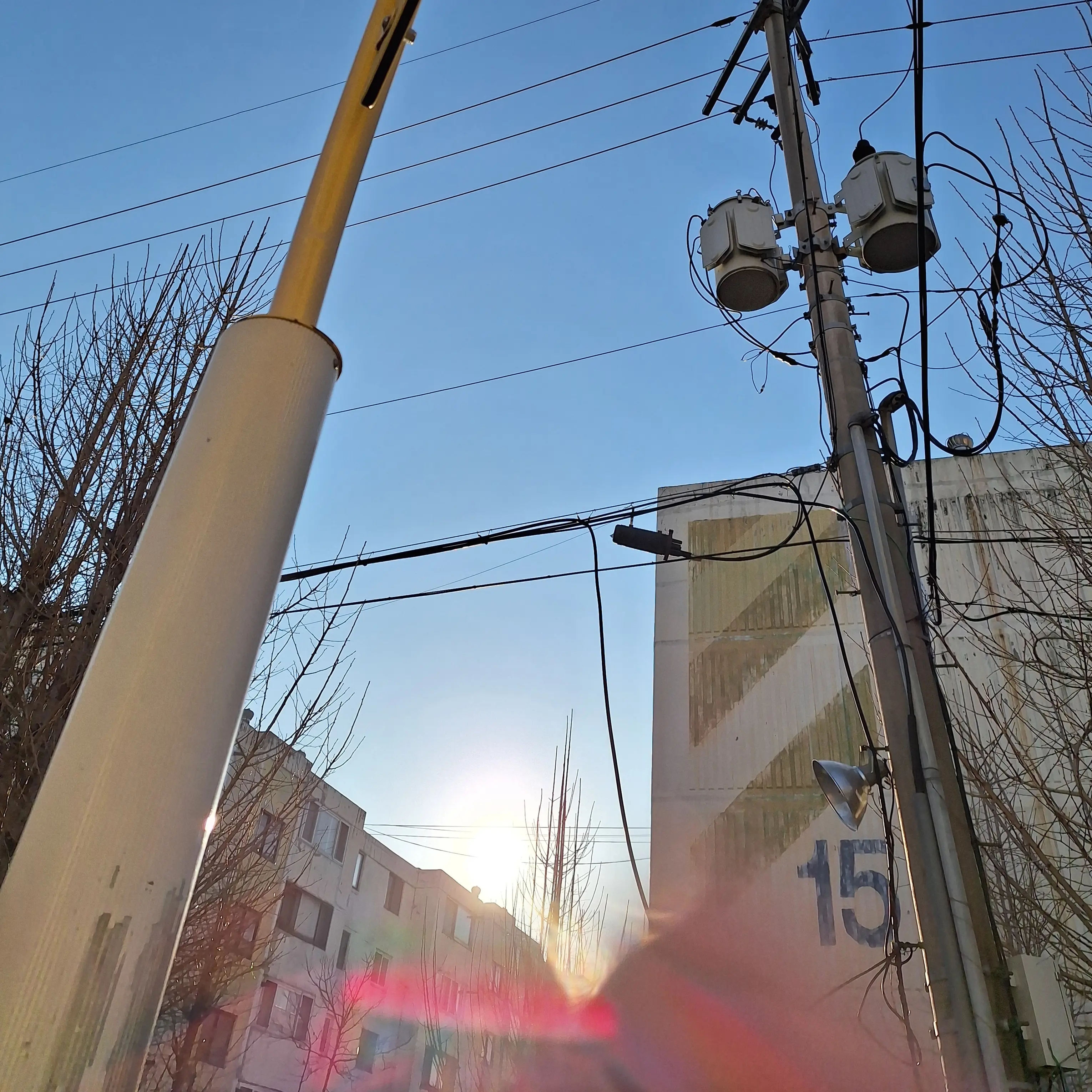 RuralPumi8034의 오징어게임×뜰팁