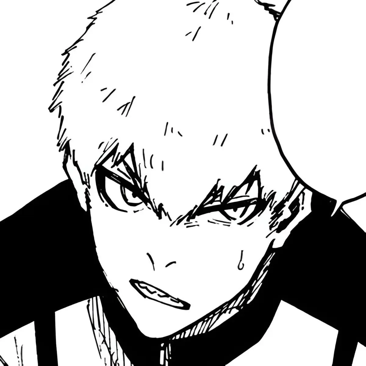 jing0의 라이치 진고