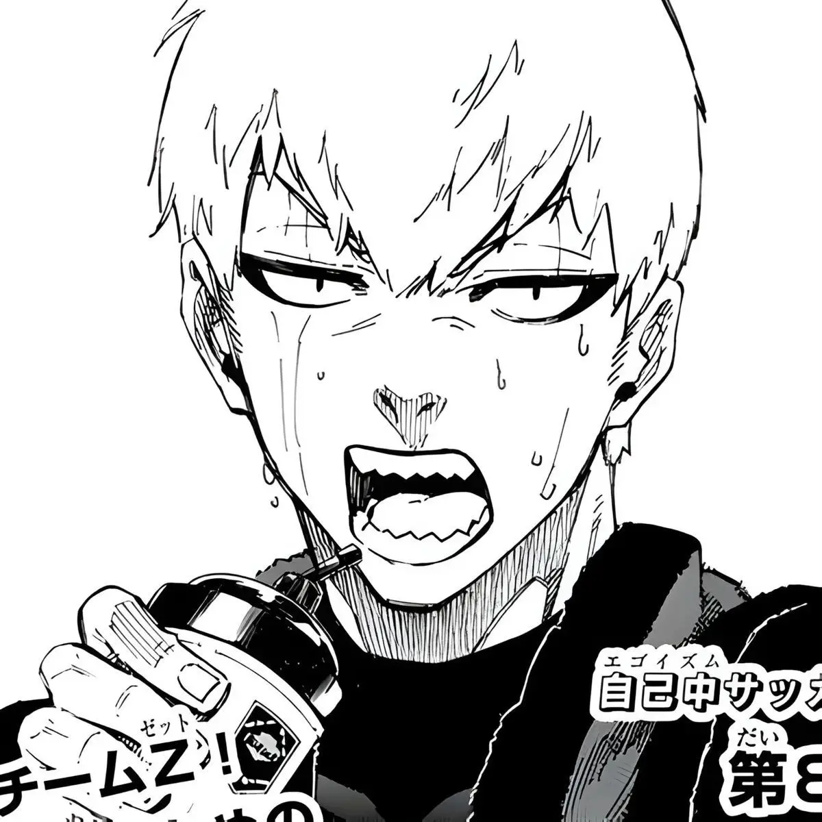 jingong의 라이치 진고