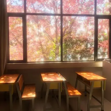 Profile image of 청원예고