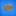 광어