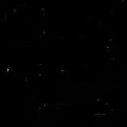 Profile image of ---