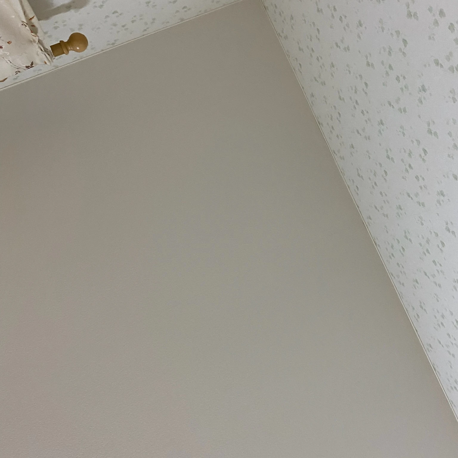 さいとうゆわ