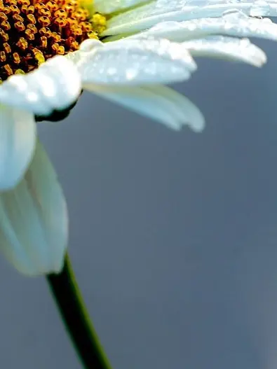 RoundRack7246의 K-POPアイドルオーディションパロ