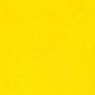 Profile image of 노랑