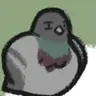 Profile image of 비둘기