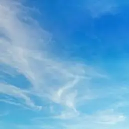 Profile image of 당신과 입양아들