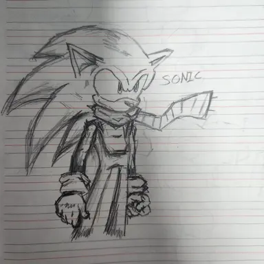 Profile image of ソニック