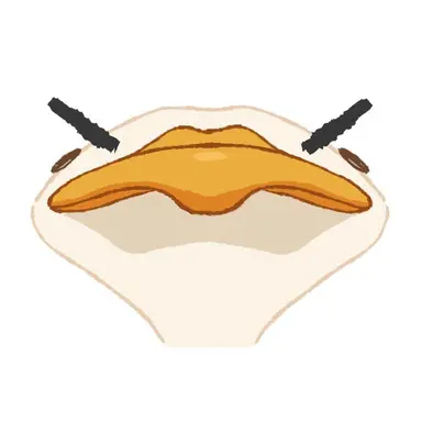 Profile image of 여우