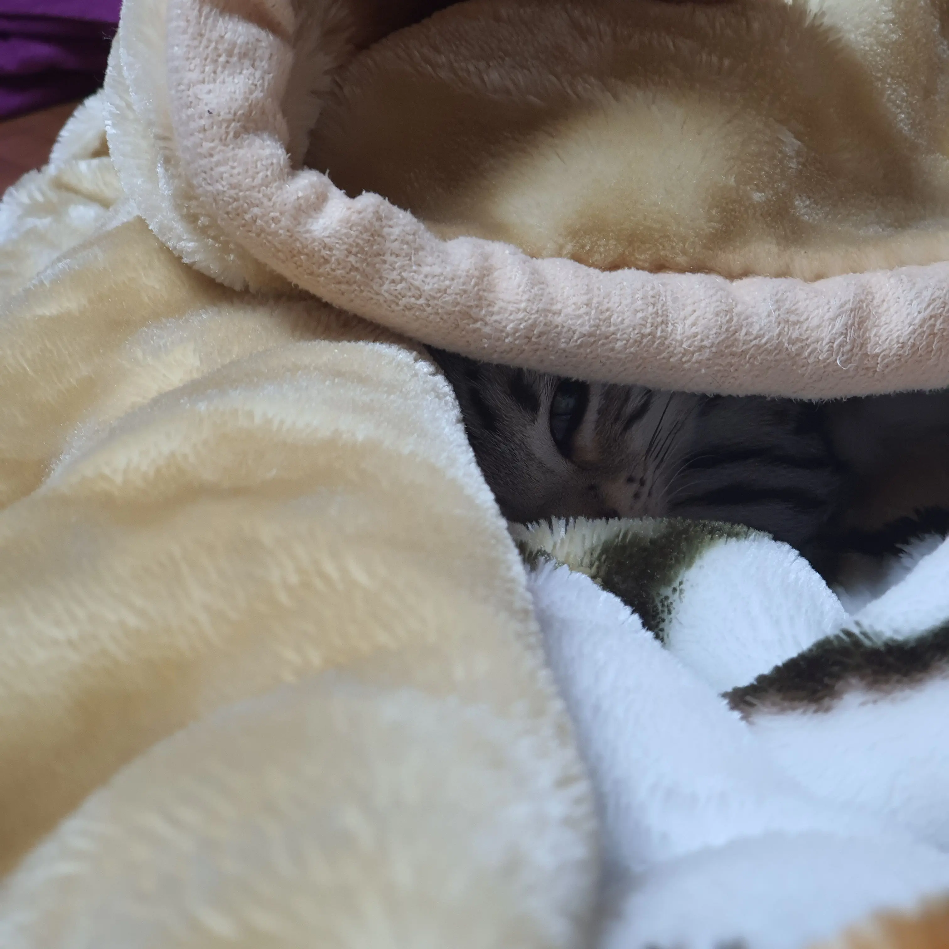 MOATXT_LOVE의 미겜즈와 노는 기사 그걸 질투하는유저