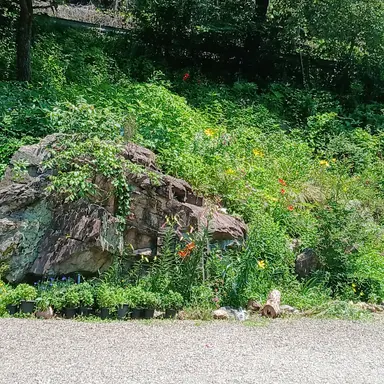 Profile image of 유저님들