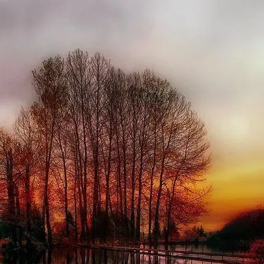 Profile image of 박덕개