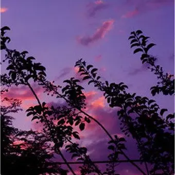 Profile image of 황수현