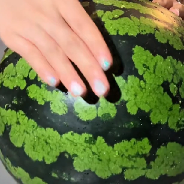 류라이