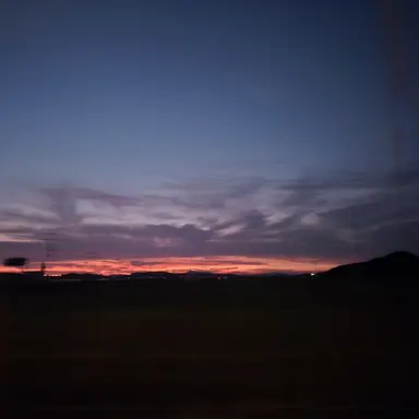 Profile image of 고고프렌즈와 여우