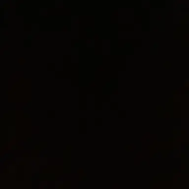 Profile image of 常闇踏陰