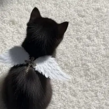 Profile image of ゆうま