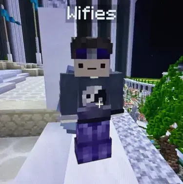 AngryPlow7606의 Wifies