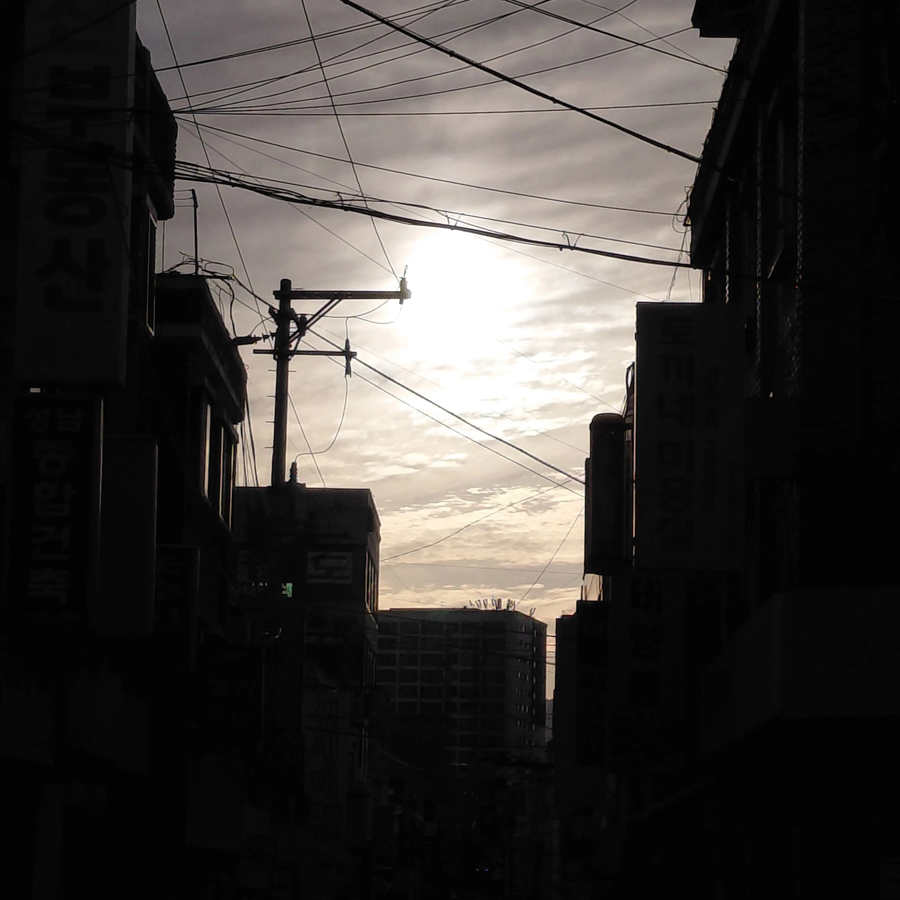 An_gimochi_AnAn의 왕과 사는 남자