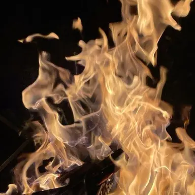 Profile image of 라더