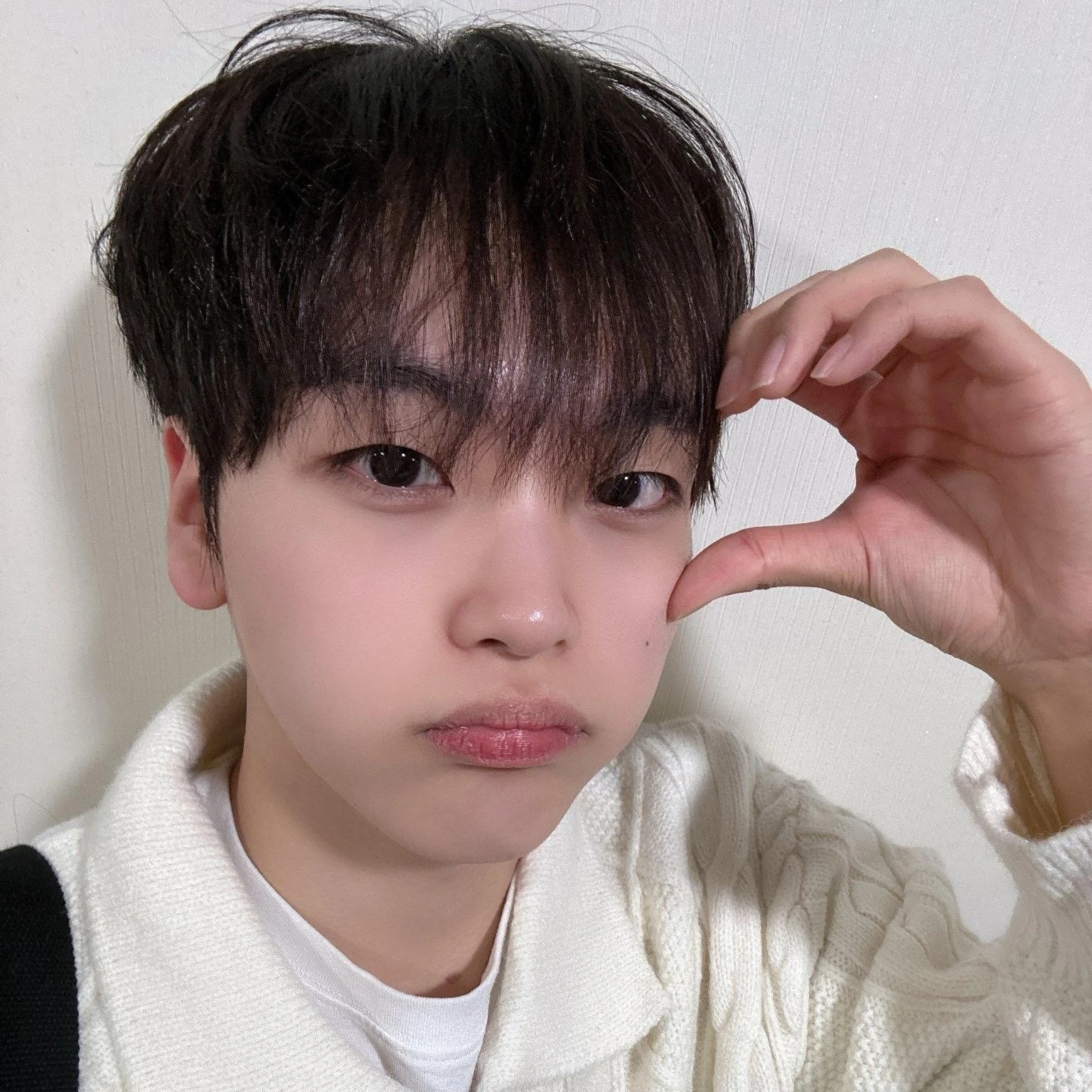 송형준