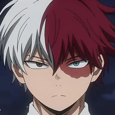 Profile image of Todoroki