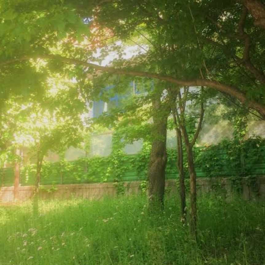 9011 대표 이미지