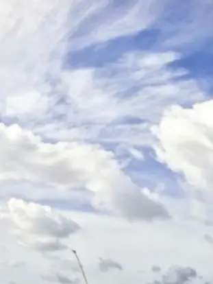 RowdyFlash3191의 당신은 과부화에걸린 잠경위입니다!