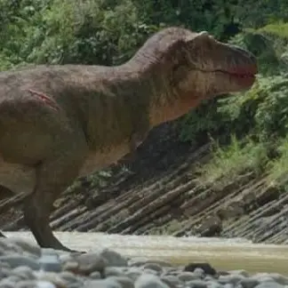 Profile image of 수