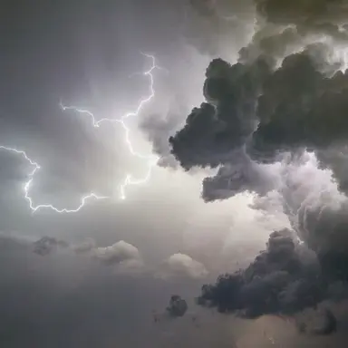 Profile image of Zeus