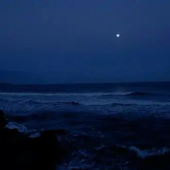 Profile image of 행크