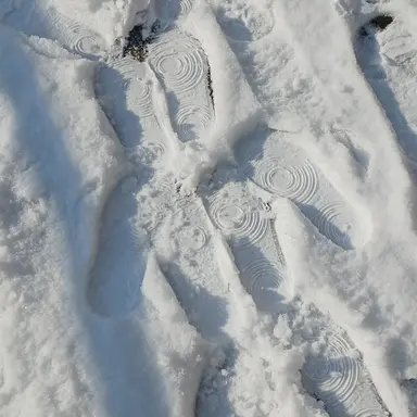 Profile image of 잭