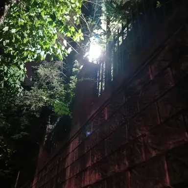 Profile image of 오뉴