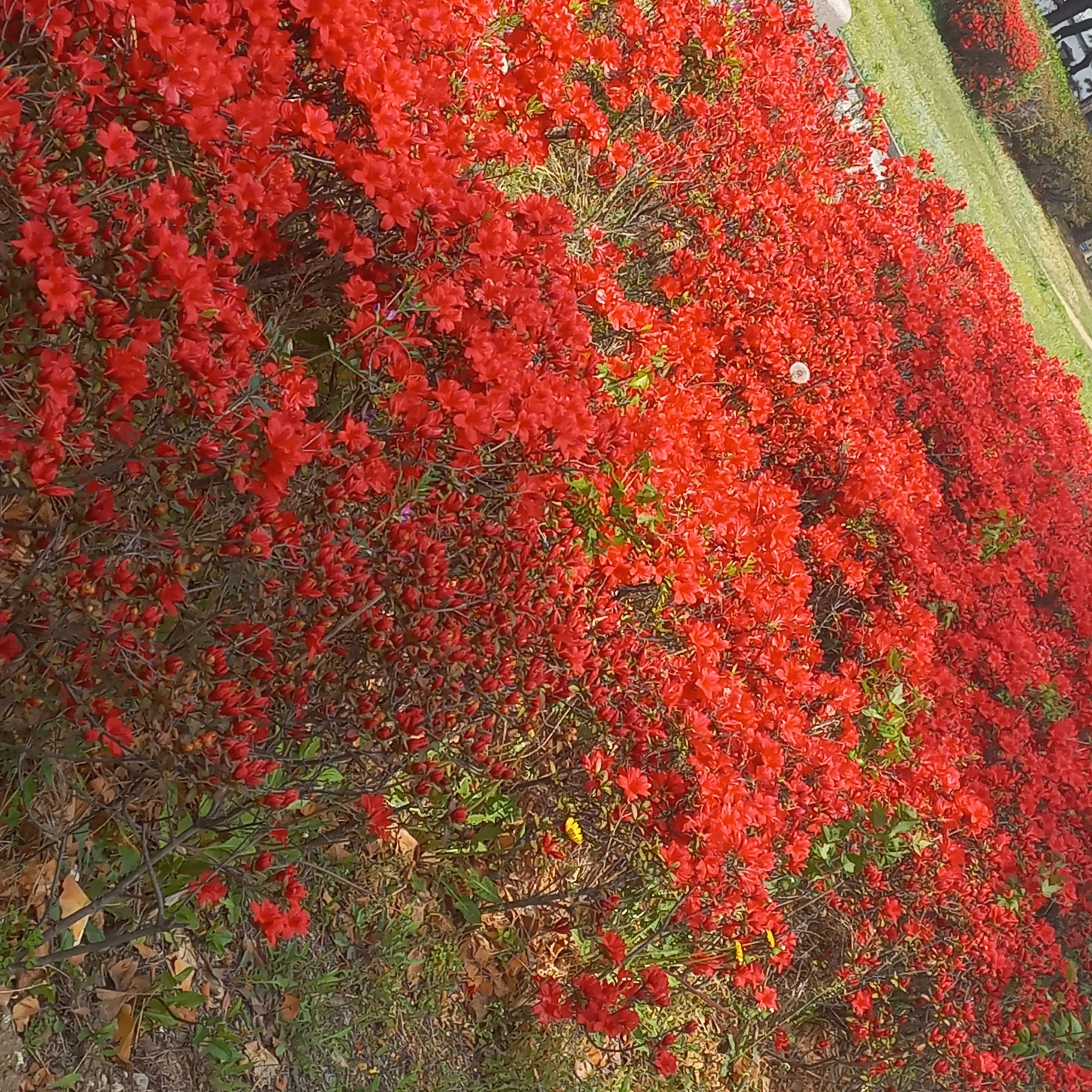 SnowyCrisp9569의 옆집에 사는 의사 f13 오빠들