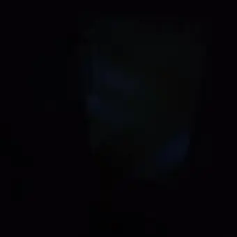 Profile image of 헌트릭스-사자보이즈