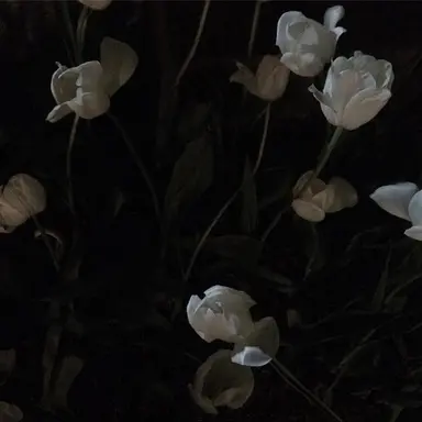 Profile image of 우융