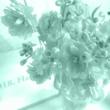 Profile image of 예엥