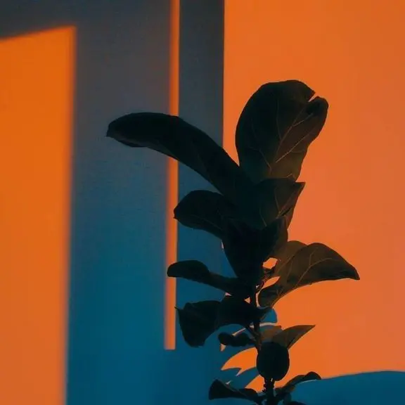 lonelycroissants의 낙원고 T8