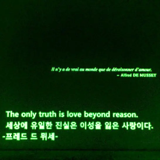 team_c00lkidd_join_today의 냥냥 네코