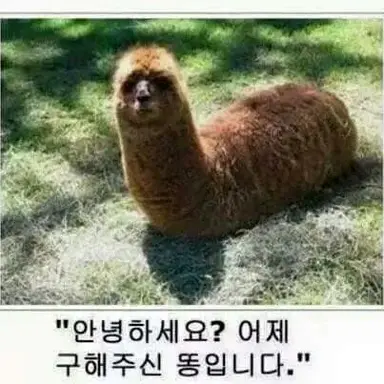 Profile image of 김찐따