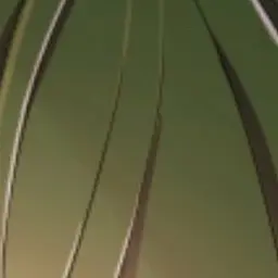 Profile image of シヴァ