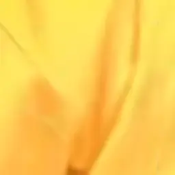 Profile image of 岩本照