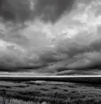 Profile image of MHA REPLACEMENT