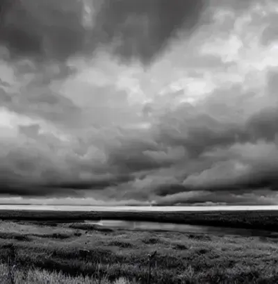 CasualCash9249의 MHA REPLACEMENT